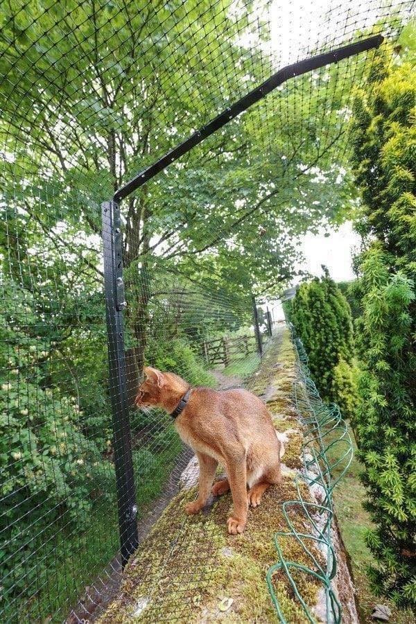 17 idées pour garder ses chats en sécurité 6 17 idées pour garder ses chats en sécurité 6