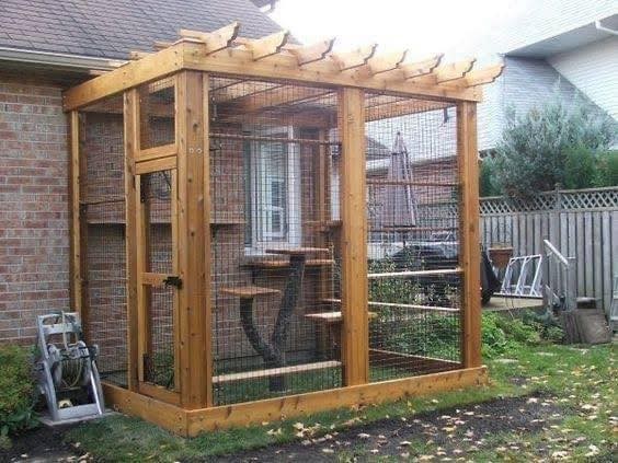17 idées pour garder ses chats en sécurité 7 17 idées pour garder ses chats en sécurité 7