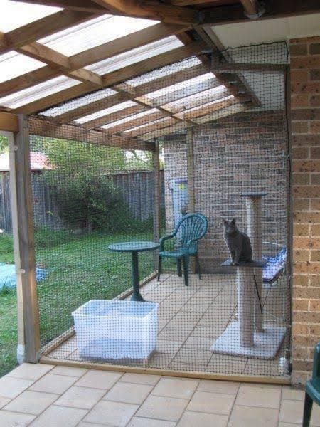 17 idées pour garder ses chats en sécurité 9 17 idées pour garder ses chats en sécurité 9