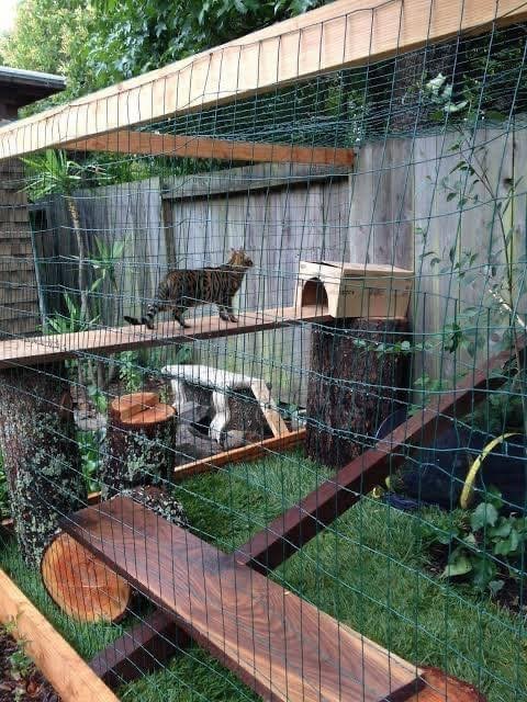 17 idées pour garder ses chats en sécurité 10 17 idées pour garder ses chats en sécurité 10