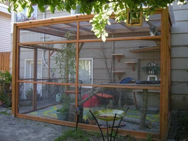 17 idées pour garder ses chats en sécurité 11 17 idées pour garder ses chats en sécurité 11