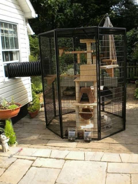 17 idées pour garder ses chats en sécurité 13 17 idées pour garder ses chats en sécurité 13