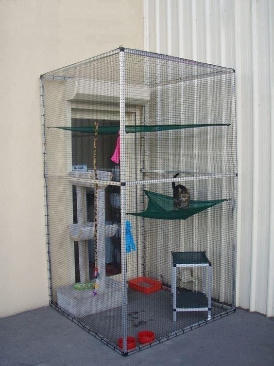17 idées pour garder ses chats en sécurité 17 17 idées pour garder ses chats en sécurité 17