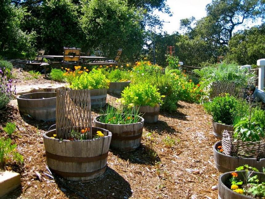 50 top idées de lits de jardins surélevés 30 50 top idées de lits de jardins surélevés 30