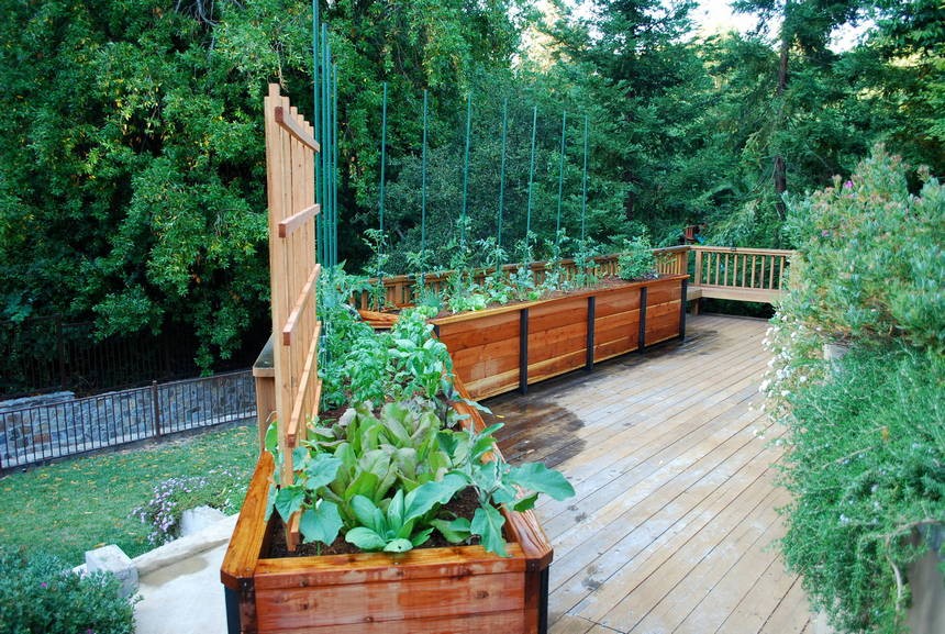 50 top idées de lits de jardins surélevés 34 50 top idées de lits de jardins surélevés 34
