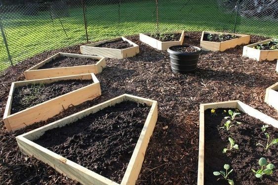 50 top idées de lits de jardins surélevés 45 50 top idées de lits de jardins surélevés 45