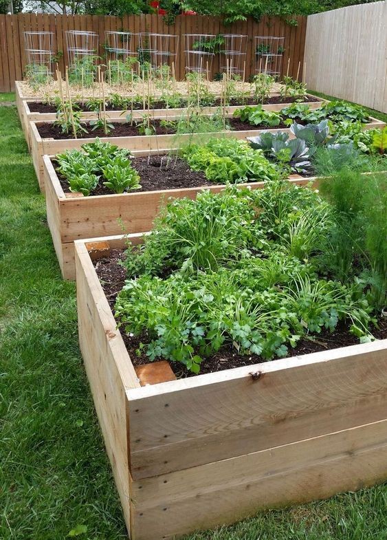 50 top idées de lits de jardins surélevés 48 50 top idées de lits de jardins surélevés 48