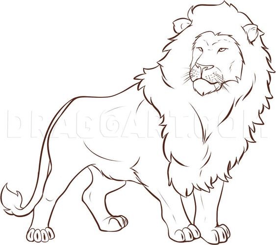 56 Coloriages Lion Gratuits à Imprimer 7 56 Coloriages Lion Gratuits à Imprimer 7