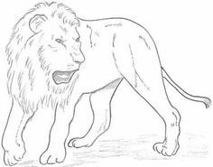 56 Coloriages Lion Gratuits à Imprimer 11 56 Coloriages Lion Gratuits à Imprimer 11