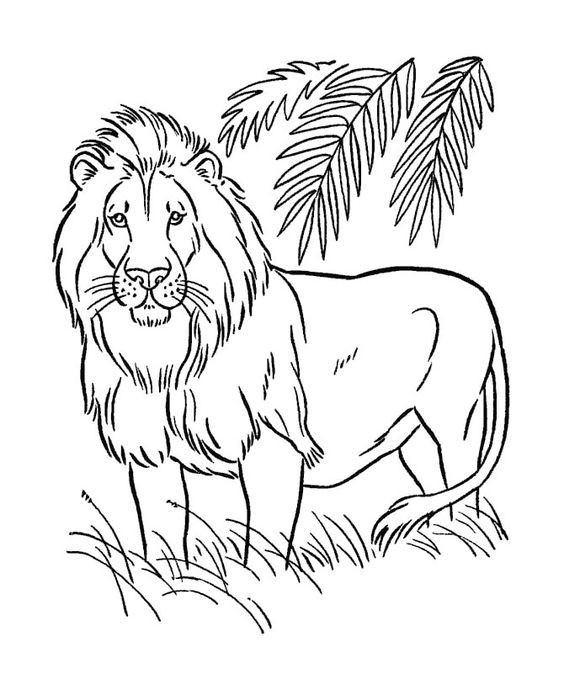 56 Coloriages Lion Gratuits à Imprimer 12 56 Coloriages Lion Gratuits à Imprimer 12