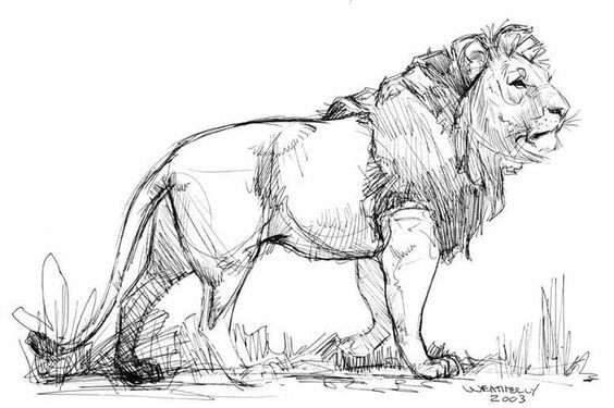 56 Coloriages Lion Gratuits à Imprimer 13 56 Coloriages Lion Gratuits à Imprimer 13