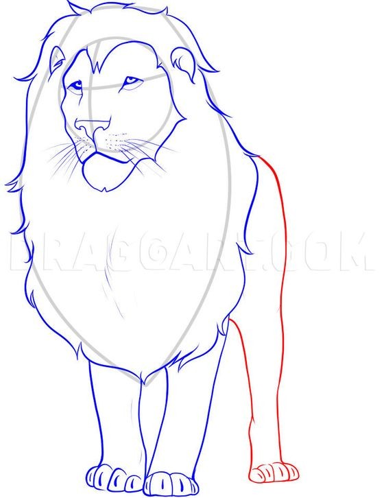 56 Coloriages Lion Gratuits à Imprimer 15 56 Coloriages Lion Gratuits à Imprimer 15