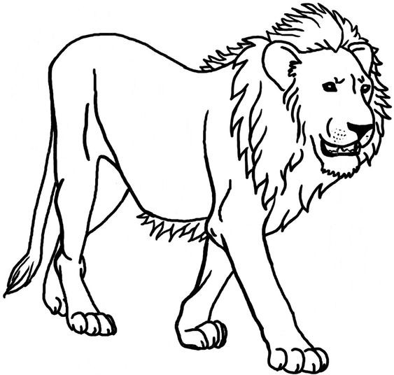 56 Coloriages Lion Gratuits à Imprimer 16 56 Coloriages Lion Gratuits à Imprimer 16