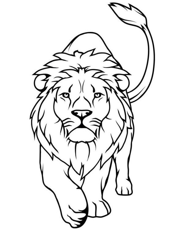 56 Coloriages Lion Gratuits à Imprimer 17 56 Coloriages Lion Gratuits à Imprimer 17