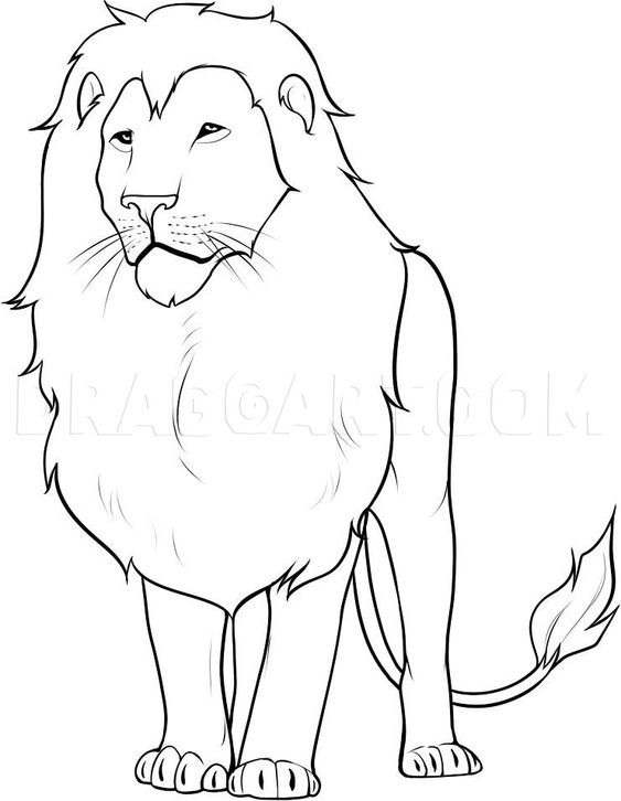 56 Coloriages Lion Gratuits à Imprimer 19 56 Coloriages Lion Gratuits à Imprimer 19