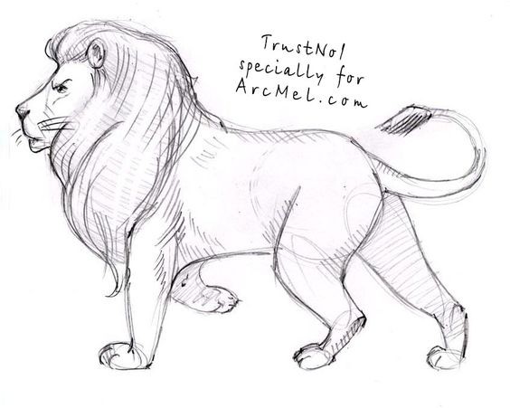 56 Coloriages Lion Gratuits à Imprimer 22 56 Coloriages Lion Gratuits à Imprimer 22