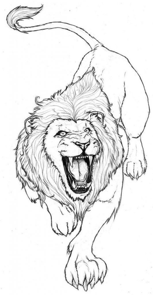 56 Coloriages Lion Gratuits à Imprimer 24 56 Coloriages Lion Gratuits à Imprimer 24