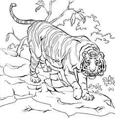 56 Coloriages Lion Gratuits à Imprimer 25 56 Coloriages Lion Gratuits à Imprimer 25
