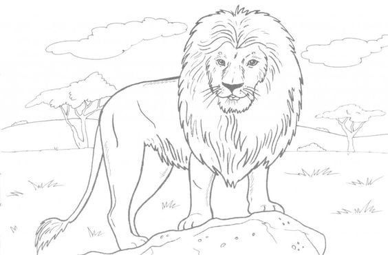 56 Coloriages Lion Gratuits à Imprimer 29 56 Coloriages Lion Gratuits à Imprimer 29