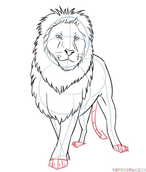 56 Coloriages Lion Gratuits à Imprimer 30 56 Coloriages Lion Gratuits à Imprimer 30
