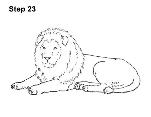 56 Coloriages Lion Gratuits à Imprimer 35 56 Coloriages Lion Gratuits à Imprimer 35