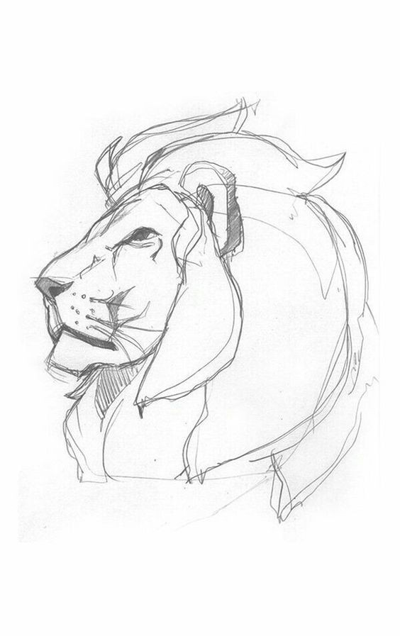 56 Coloriages Lion Gratuits à Imprimer 36 56 Coloriages Lion Gratuits à Imprimer 36