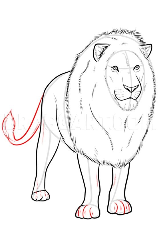 56 Coloriages Lion Gratuits à Imprimer 37 56 Coloriages Lion Gratuits à Imprimer 37