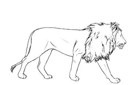 56 Coloriages Lion Gratuits à Imprimer 43 56 Coloriages Lion Gratuits à Imprimer 43