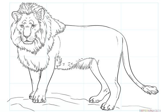 56 Coloriages Lion Gratuits à Imprimer 48 56 Coloriages Lion Gratuits à Imprimer 48