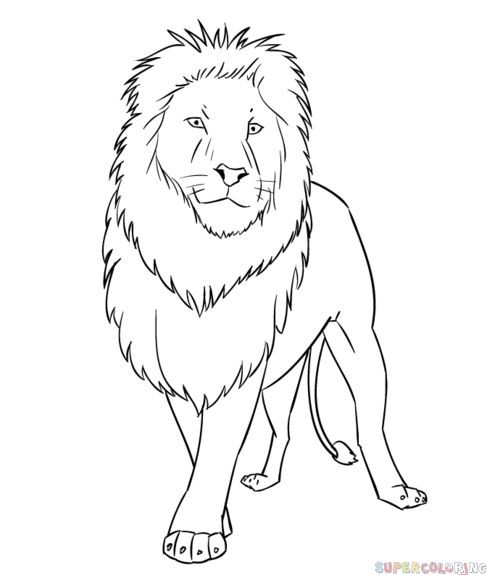 56 Coloriages Lion Gratuits à Imprimer 49 56 Coloriages Lion Gratuits à Imprimer 49