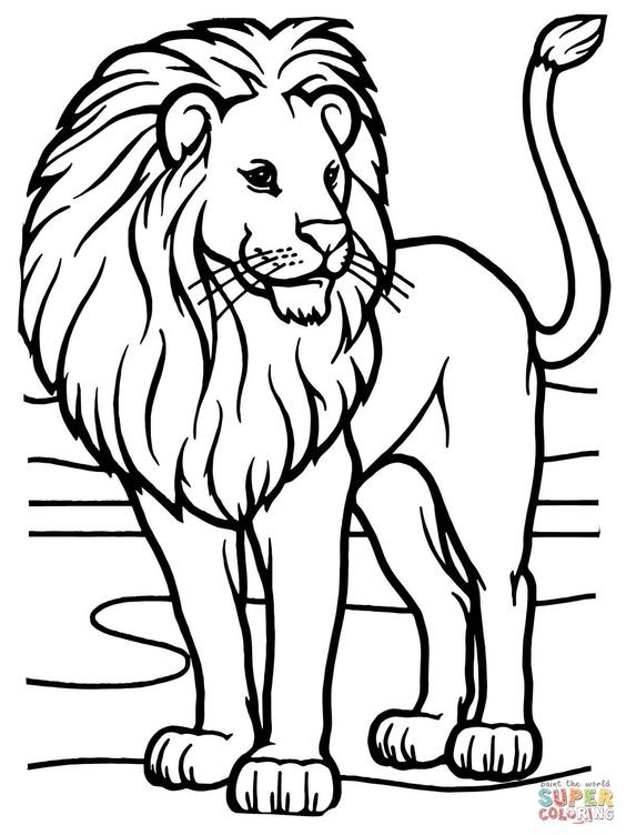 56 Coloriages Lion Gratuits à Imprimer 51 56 Coloriages Lion Gratuits à Imprimer 51