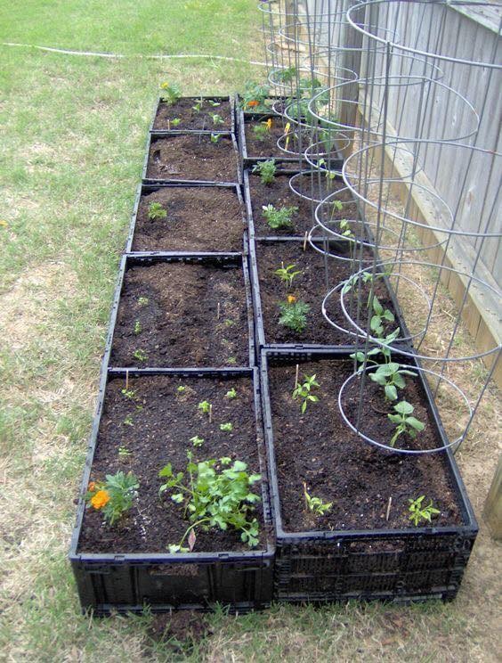 15 idées géniales à essayer pour le jardin 6 15 idées géniales à essayer pour le jardin 6