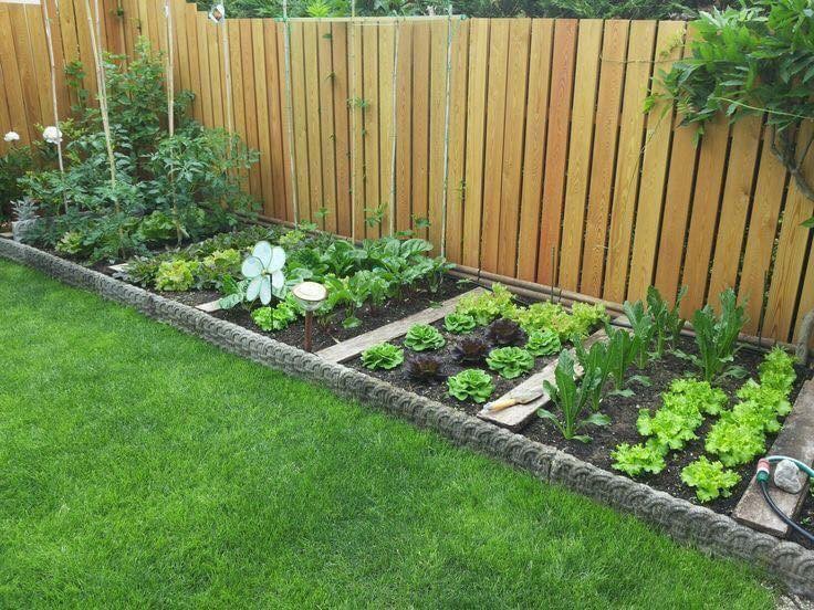 15 idées géniales à essayer pour le jardin 10 15 idées géniales à essayer pour le jardin 10