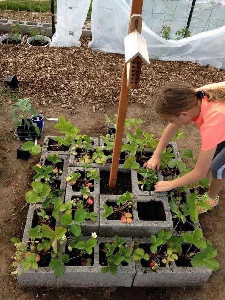 15 idées géniales à essayer pour le jardin 11 15 idées géniales à essayer pour le jardin 11