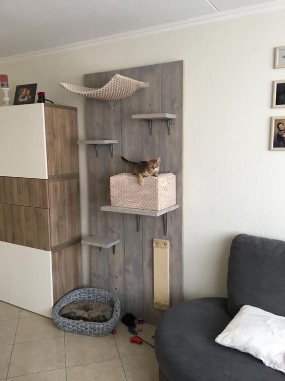 14 idées d'arbres à chat en bois à faire soi-même 5 14 idées d'arbres à chat en bois à faire soi-même 5