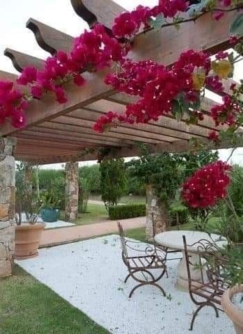 23 suggestions de pergolas pour vous inspirer 2 23 suggestions de pergolas pour vous inspirer 2