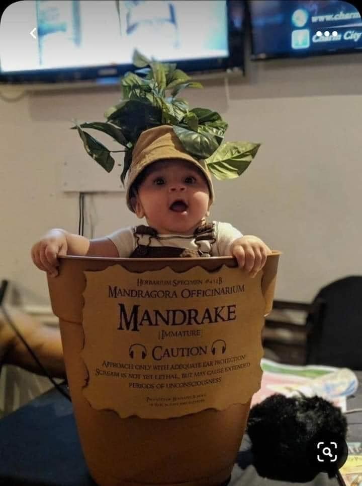 14 idées de costume d'Halloween parfait pour votre bébé 14 14 idées de costume d'Halloween parfait pour votre bébé 14