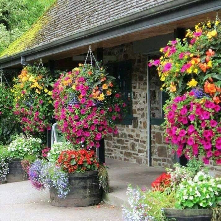 60 Décorations de jardin pour les amoureux des fleurs 1 60 Décorations de jardin pour les amoureux des fleurs 1