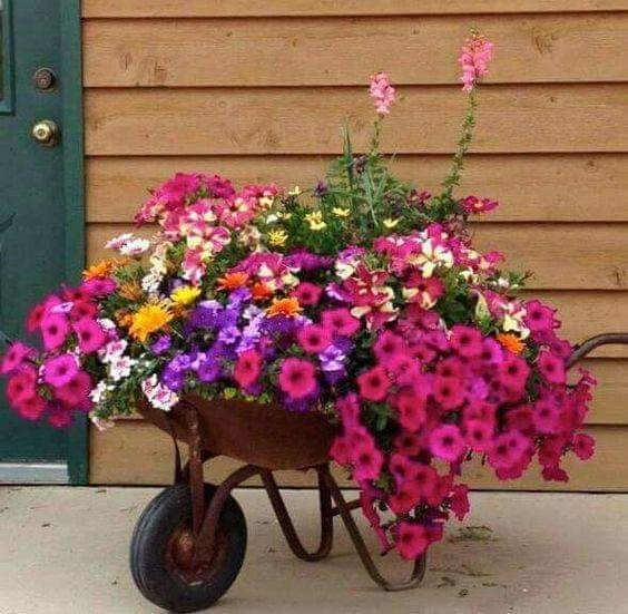 60 Décorations de jardin pour les amoureux des fleurs 42 60 Décorations de jardin pour les amoureux des fleurs 42
