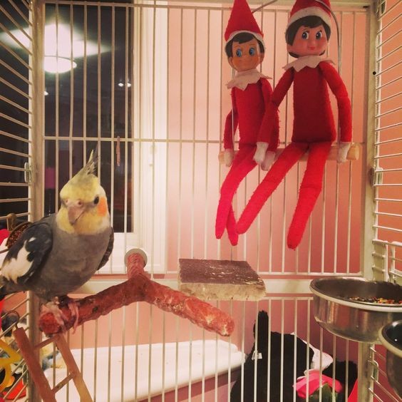 31 idées de bêtises de lutin pour vous aider à tenir le coup jusqu'à Noël 14 31 idées de bêtises de lutin pour vous aider à tenir le coup jusqu'à Noël 14