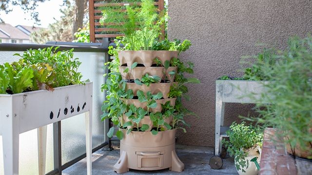 4 Raisons de créer une serre verticale dans son jardin 2 4 Raisons de créer une serre verticale dans son jardin 2