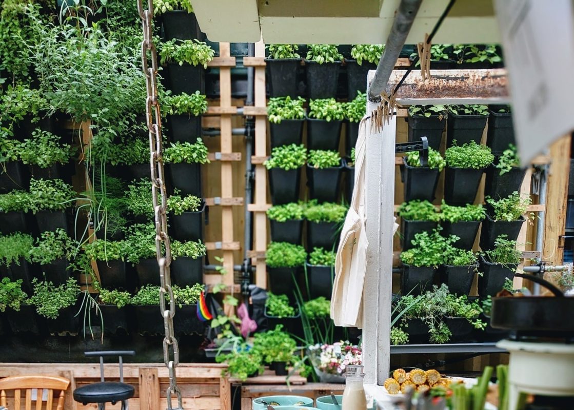 4 Raisons de créer une serre verticale dans son jardin 3 4 Raisons de créer une serre verticale dans son jardin 3