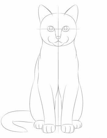 8 secrets pour apprendre à dessiner des chats une pro 6 8 secrets pour apprendre à dessiner des chats une pro 6