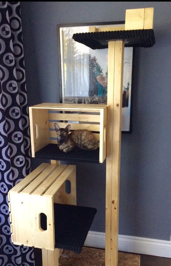 21 arbres à chat à faire soi-même avec des palettes 7 21 arbres à chat à faire soi-même avec des palettes 7