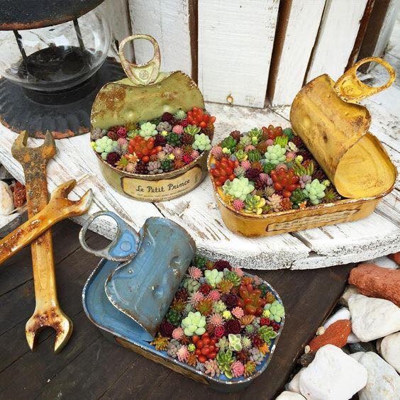 39 idées pour bien mettre en scène les succulentes 2