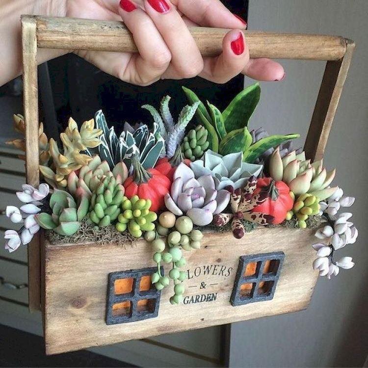 39 idées pour bien mettre en scène les succulentes 3