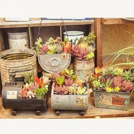 39 idées pour bien mettre en scène les succulentes 10