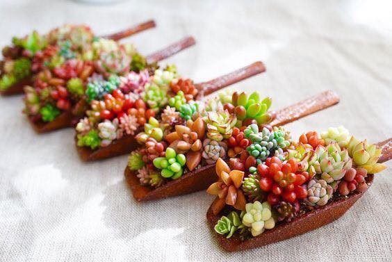 39 idées pour bien mettre en scène les succulentes 11