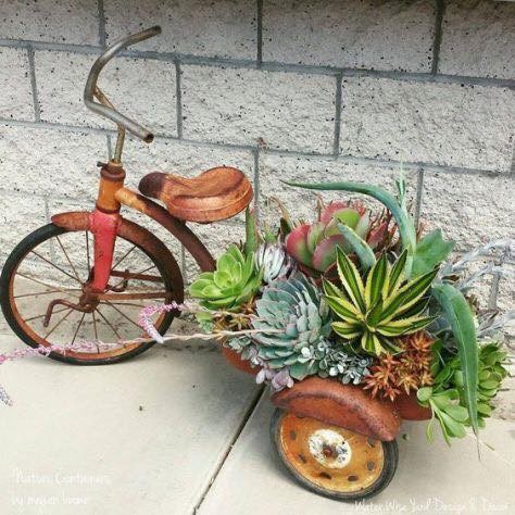 39 idées pour bien mettre en scène les succulentes 13