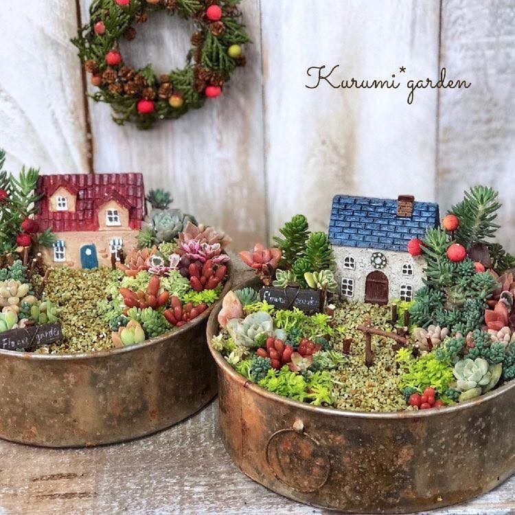 39 idées pour bien mettre en scène les succulentes 14
